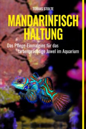 Mandarinfisch Haltung: Pflege-Einmaleins für das farbenprächtige Juwel im Aquarium  